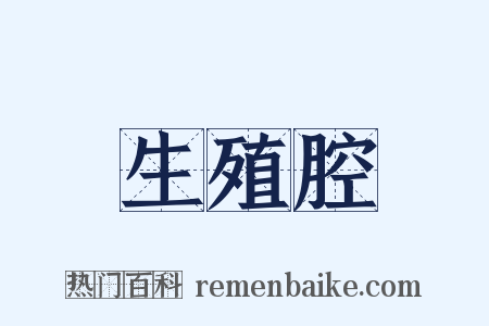 生殖腔是什么意思的图片